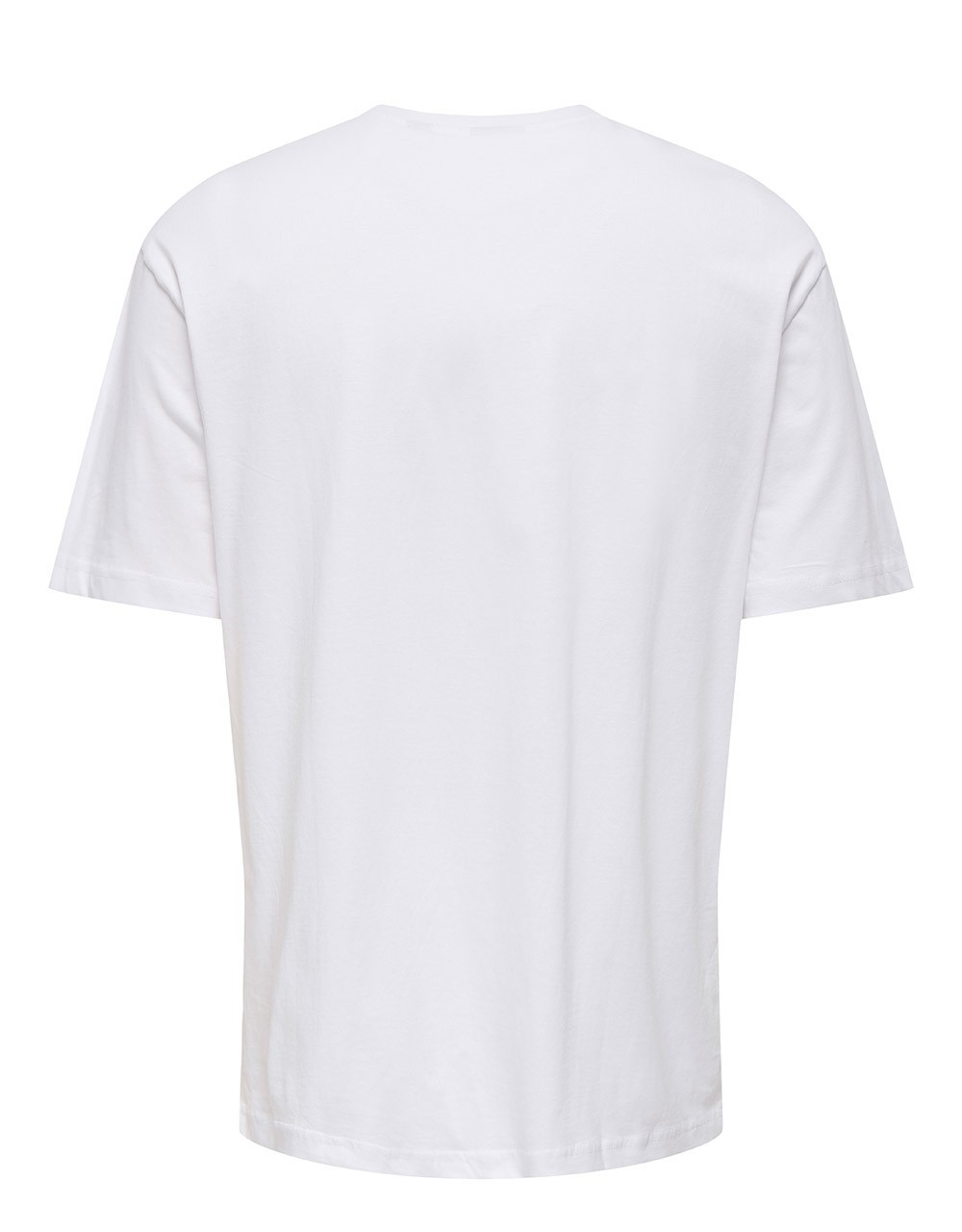 T-SHIRT ONSAXEL - TUTTO PASSA -22037714 - T-Shirts