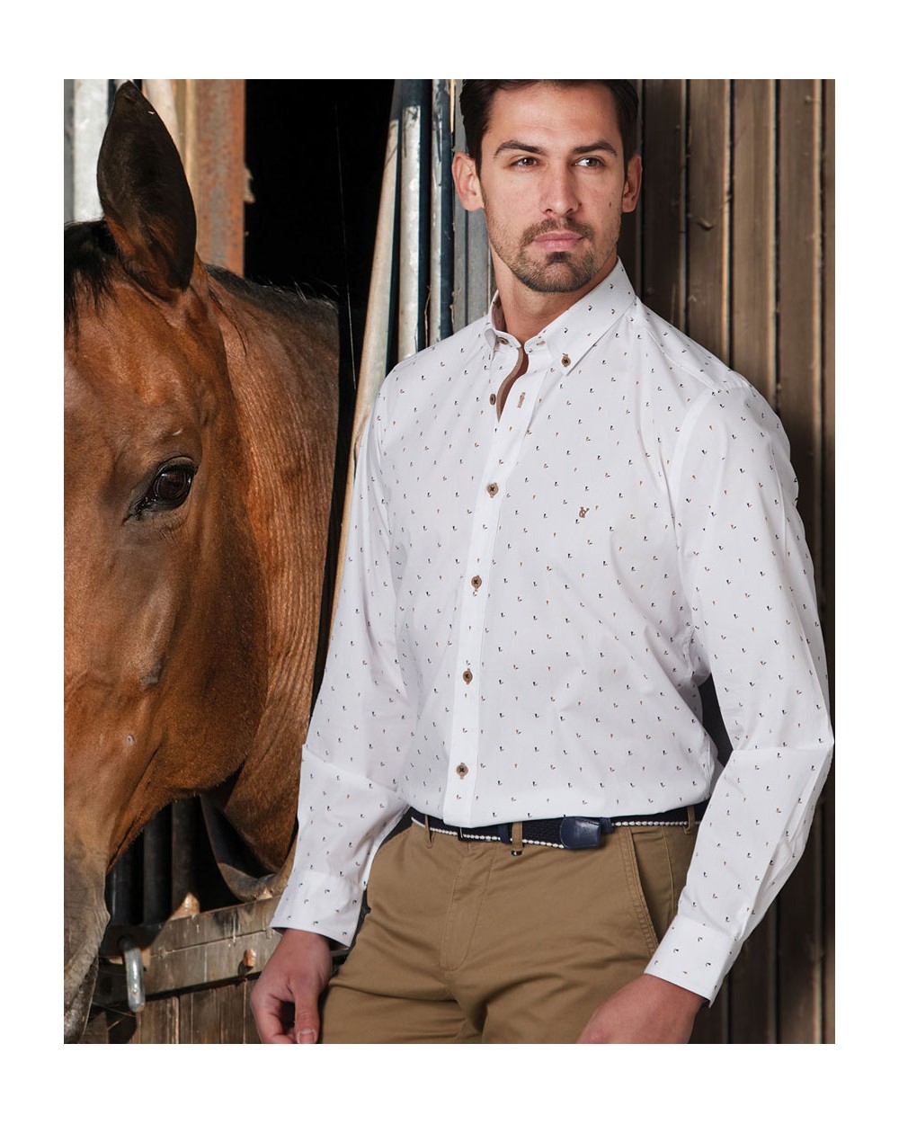 Men's Shirt Long Sleeve Micro-Print, 2734-12