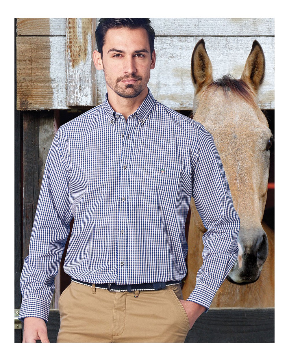 Men's Long Sleeve Cotton Shirt, 2734-10
